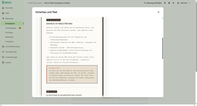 Brevo Preview Detail Screenshot